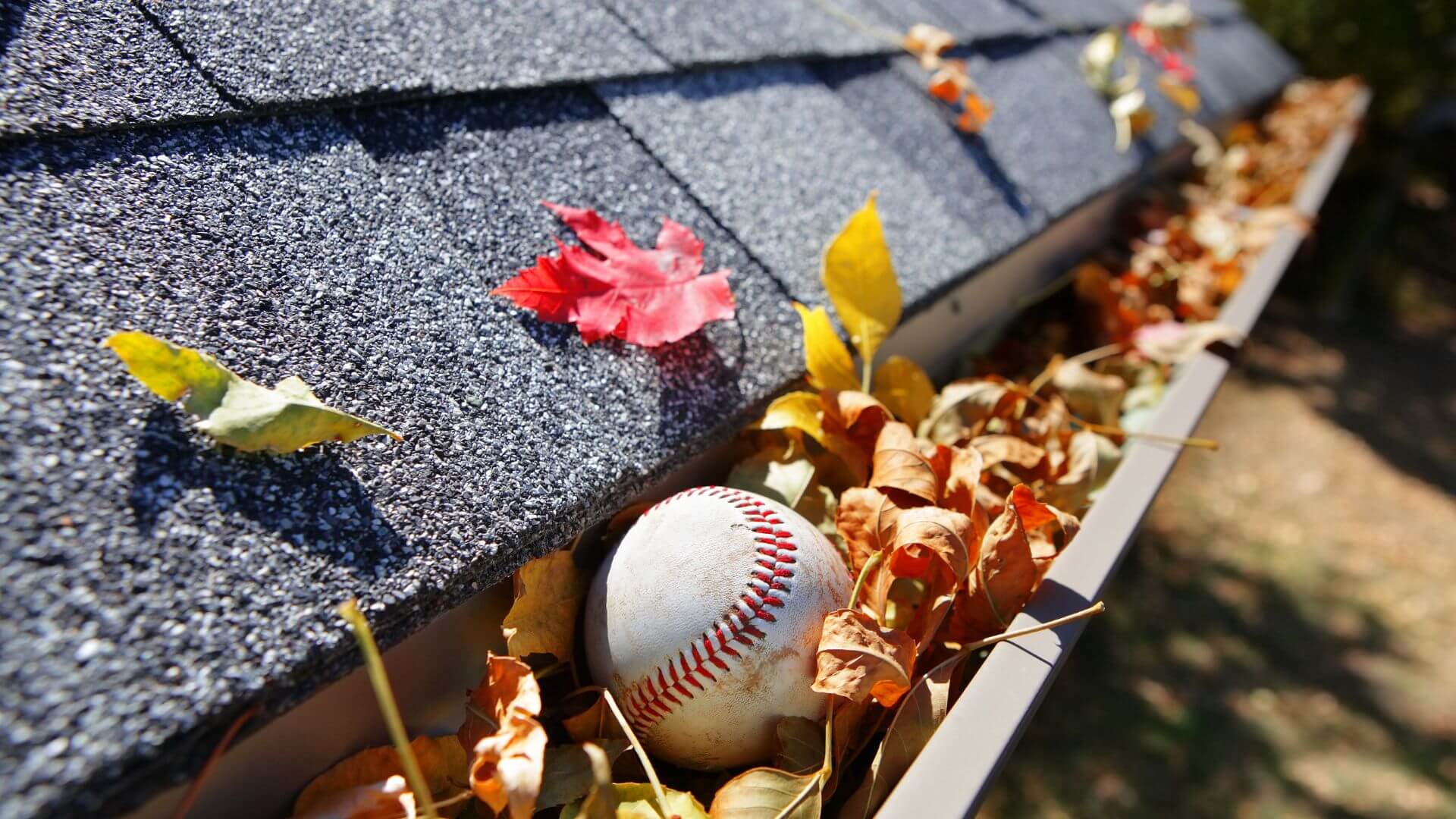 How Often Should You Clean Your Gutters? 